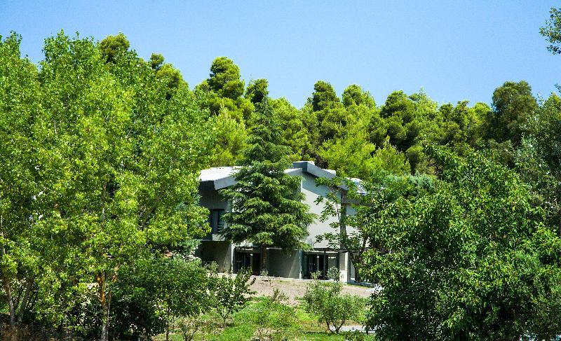 Sani More & Sani Woods (Adults Only) Sani (Chalkidiki) Exterior foto